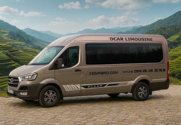 XE 10 CHỖ LIMOUISNE